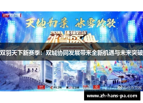 双羽天下新赛季：双城协同发展带来全新机遇与未来突破