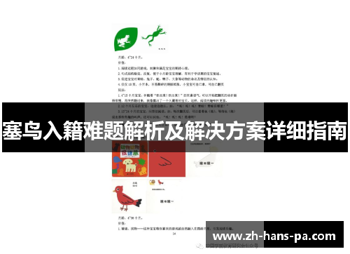 塞鸟入籍难题解析及解决方案详细指南