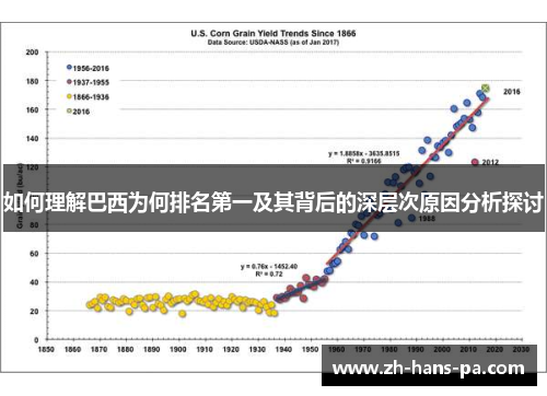 如何理解巴西为何排名第一及其背后的深层次原因分析探讨
