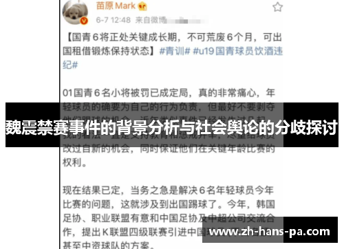 魏震禁赛事件的背景分析与社会舆论的分歧探讨