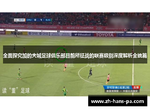 全面探究加的夫城足球俱乐部目前所征战的联赛级别深度解析全貌篇