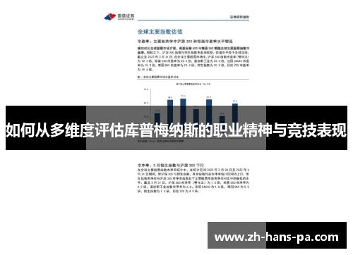 如何从多维度评估库普梅纳斯的职业精神与竞技表现