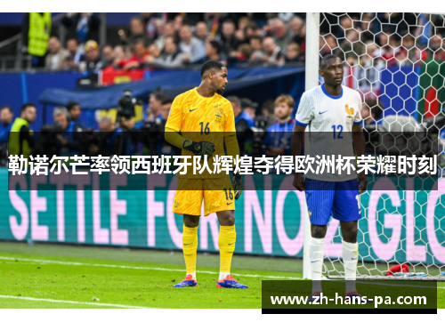 勒诺尔芒率领西班牙队辉煌夺得欧洲杯荣耀时刻