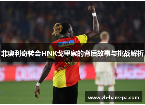 菲奥利奇转会HNK戈里察的背后故事与挑战解析