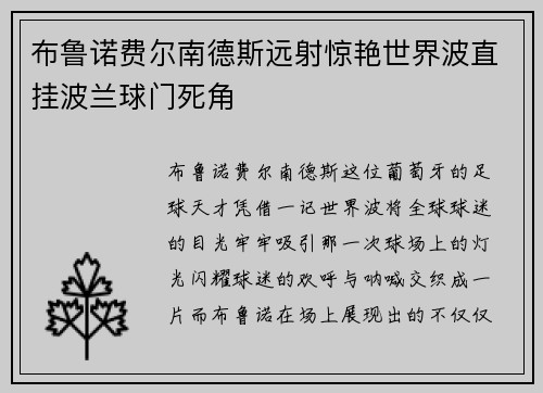 布鲁诺费尔南德斯远射惊艳世界波直挂波兰球门死角